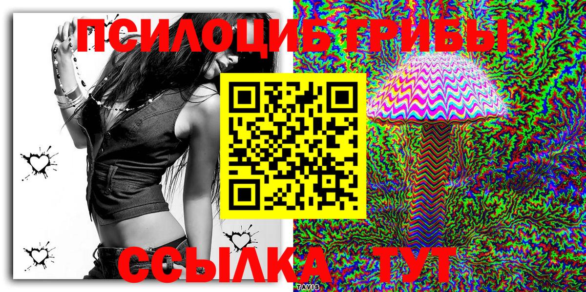 Псилоцибиновые грибы Magic Shrooms Карталы